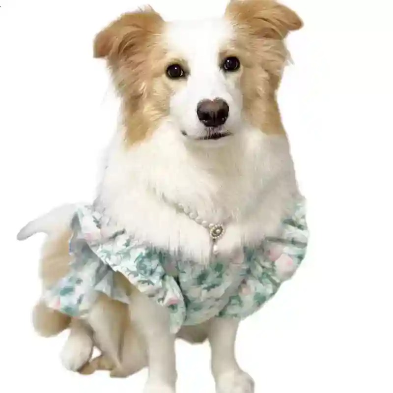 Summer Dog Clothing - Roupas para Animais de Estimação Primavera