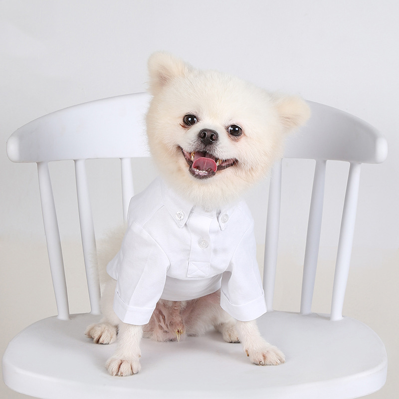 Primavera e outono camisas de  - Summer Dog Clothing avaliação e preço