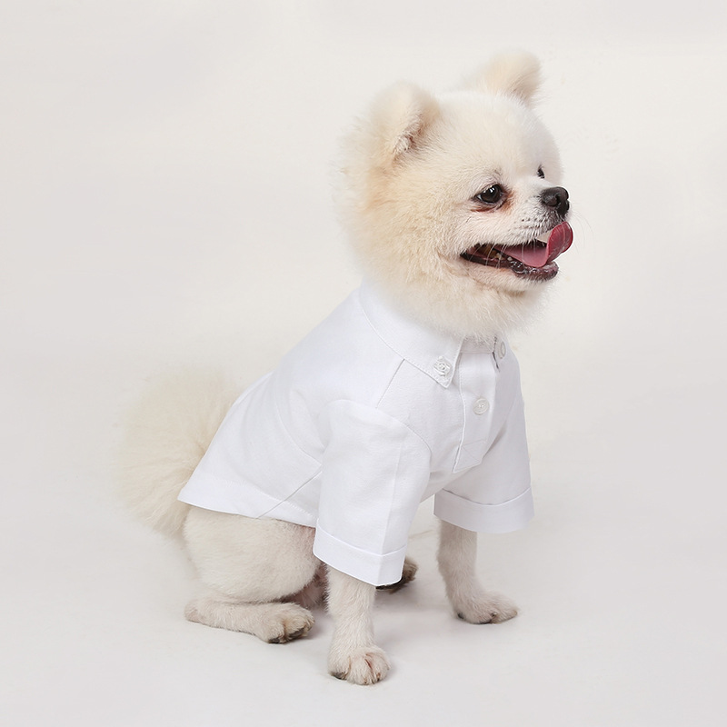 Primavera e outono camisas de  - Summer Dog Clothing avaliação e preço