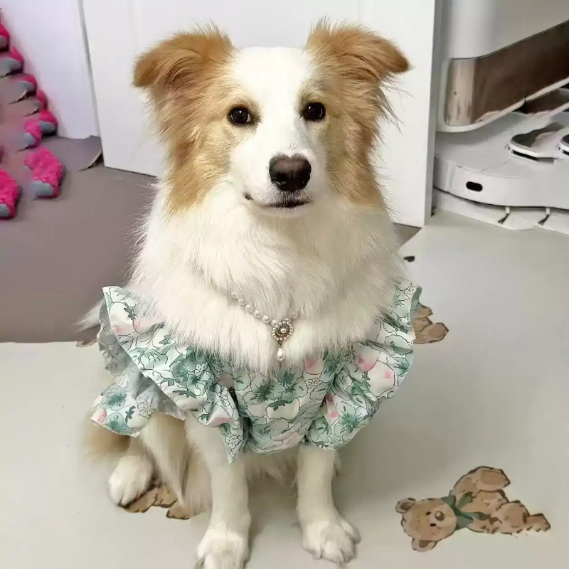 Roupas para Animais de Estimaç - Summer Dog Clothing avaliação e preço