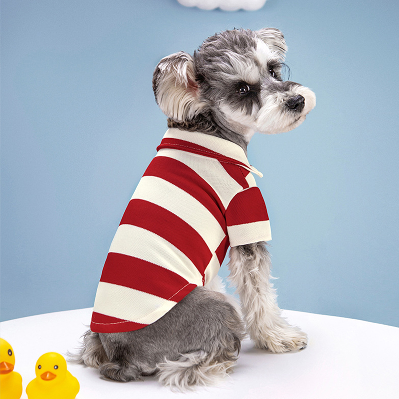 Camisa Polo para Cães de Estim - Summer Dog Clothing avaliação e preço