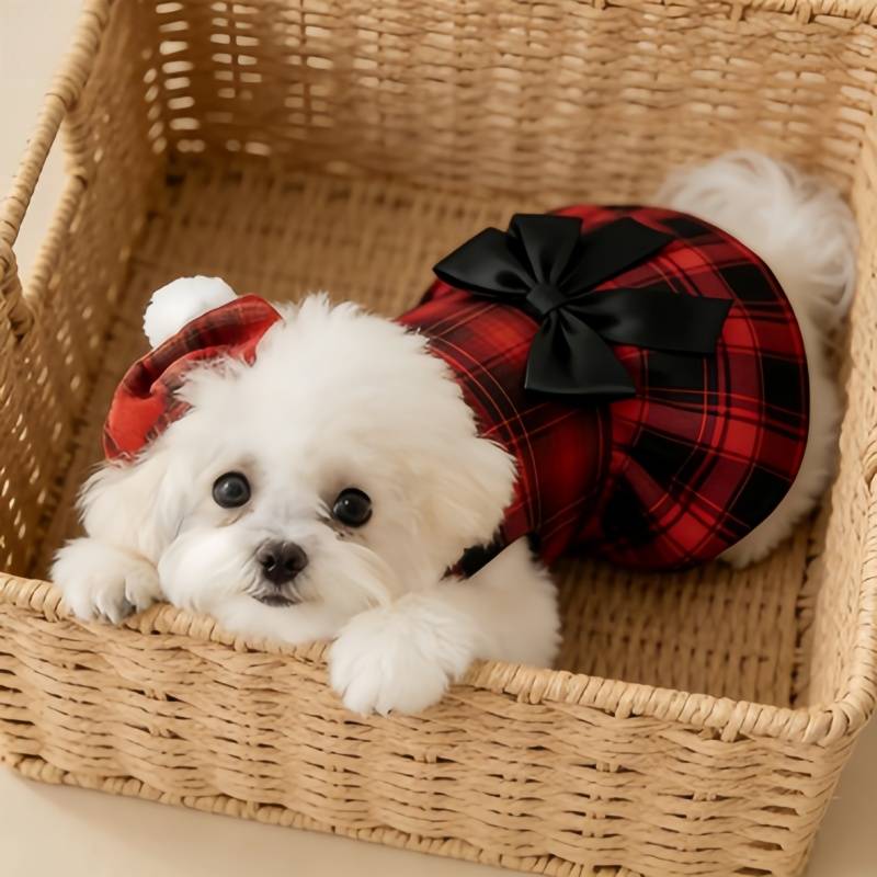 Roupa para Cães e Gatos: Colet - Summer Dog Clothing avaliação e preço