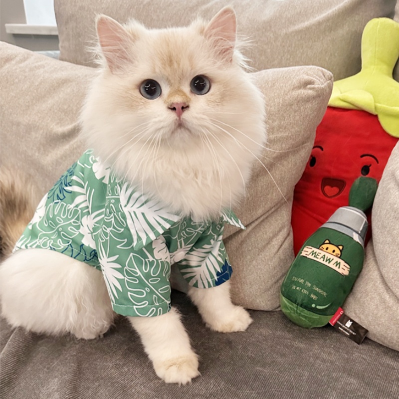 Verão havaiano praia estilo ca - Summer Dog Clothing avaliação e preço